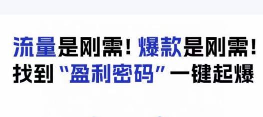 电商盈利精品课：6大盈利密码让产品更好卖，流量是刚需！爆款是刚需！找到”盈利密码”一键起爆-观智斋电商课程站