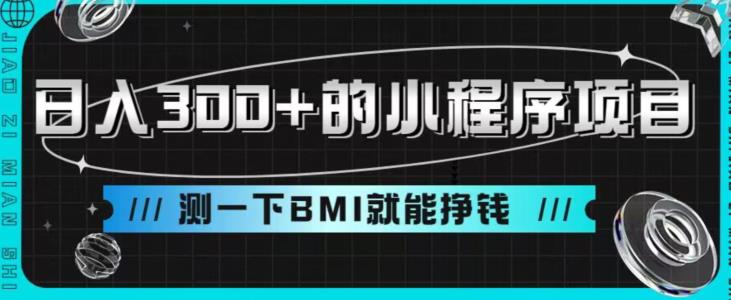 日入300+的小程序项目，测一下BMI就能挣钱【揭秘】-观智斋电商课程站