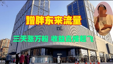 蹭胖东来流量，三天涨万粉，收益直接起飞-观智斋电商课程站