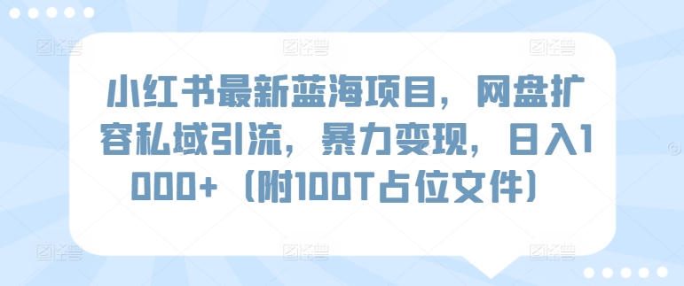 小红书最新蓝海项目，网盘扩容私域引流，暴力变现，日入1000+（附100T占位文件）【揭秘】-观智斋电商课程站