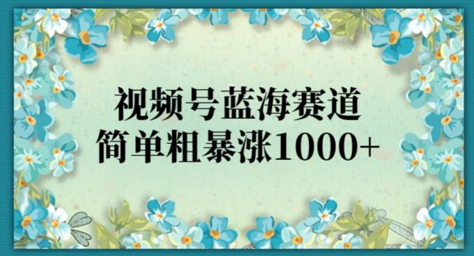视频号蓝海赛道，简单粗暴涨1000+-观智斋电商课程站