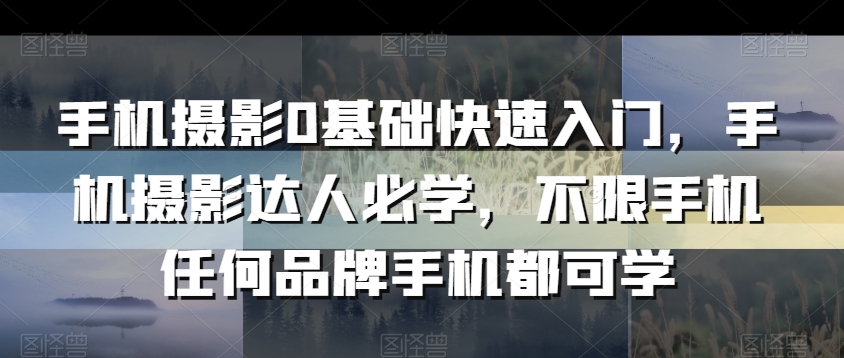 手机摄影0基础快速入门，手机摄影达人必学，不限手机任何品牌手机都可学-观智斋电商课程站