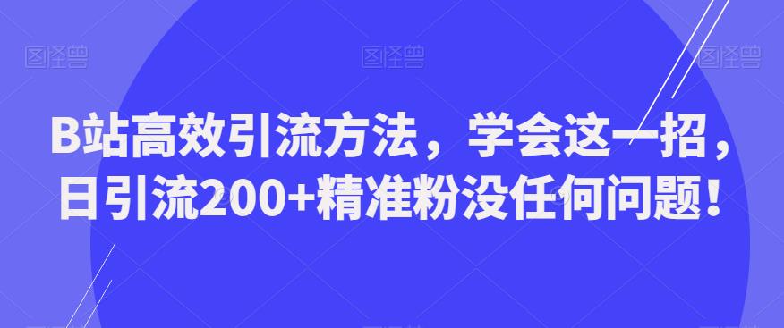 B站高效引流方法，学会这一招，日引流200+精准粉没任何问题【揭秘】-观智斋电商课程站