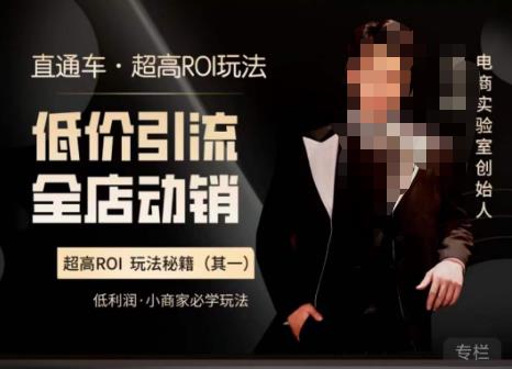 电商冰可乐·直通车·《低价引流·全店动销》，直通车·超高ROI玩法（其一）全店动销必学玩法-观智斋电商课程站