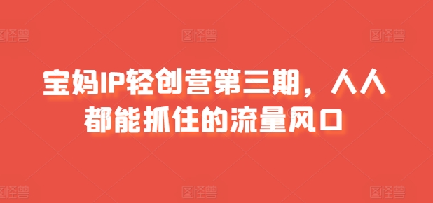 宝妈IP轻创营第三期，人人都能抓住的流量风口-观智斋电商课程站