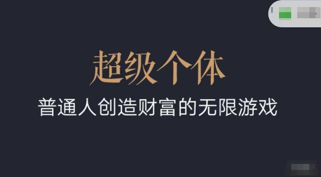 超级个体2024-2025翻盘指南，普通人创造财富的无限游戏-观智斋电商课程站