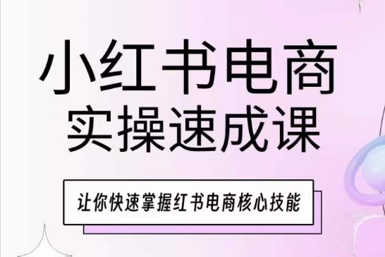 小红书电商实操速成课，让你快速掌握红书电商核心技能-观智斋电商课程站