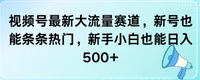 视频号最新大流量赛道，新号也能条条热门，新手小白也能日入5张-观智斋电商课程站