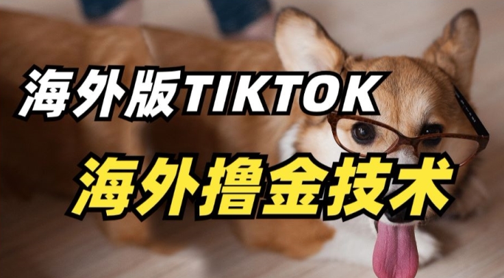 抖音海外版tiktok撸金技术，这个风口行业，赚钱真的不难【揭秘】-观智斋电商课程站