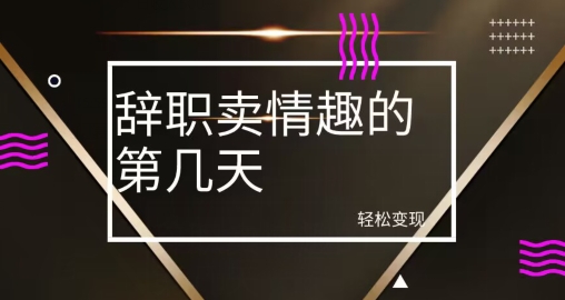 冷门赛道，辞职卖情趣的第几天，超暴力项目-观智斋电商课程站
