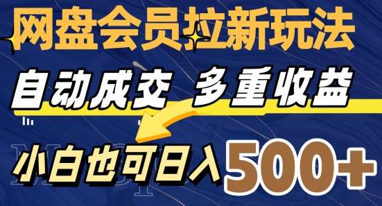网盘会员拉新玩法，自动成交，多重收益，小白也可日入500+-观智斋电商课程站