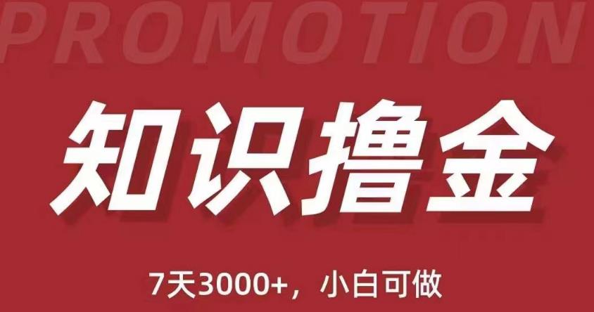 抖音知识撸金项目：简单粗暴日入1000+执行力强当天见收益(教程+资料)-观智斋电商课程站