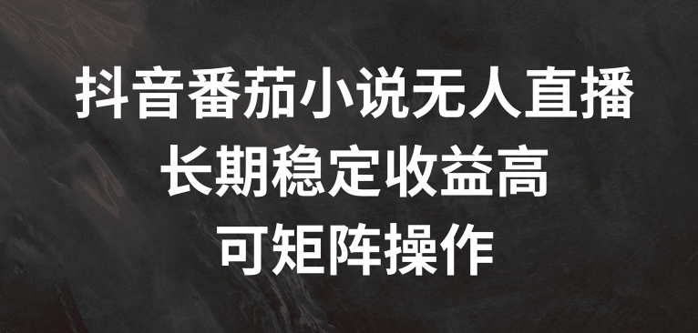 抖音番茄小说无人直播，长期稳定收益高，可矩阵操作【揭秘】-观智斋电商课程站