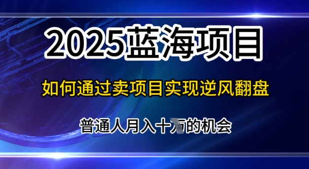 2025蓝海项目，普通人如何通过卖项目实现逆风翻盘，月入10个【揭秘】-观智斋电商课程站