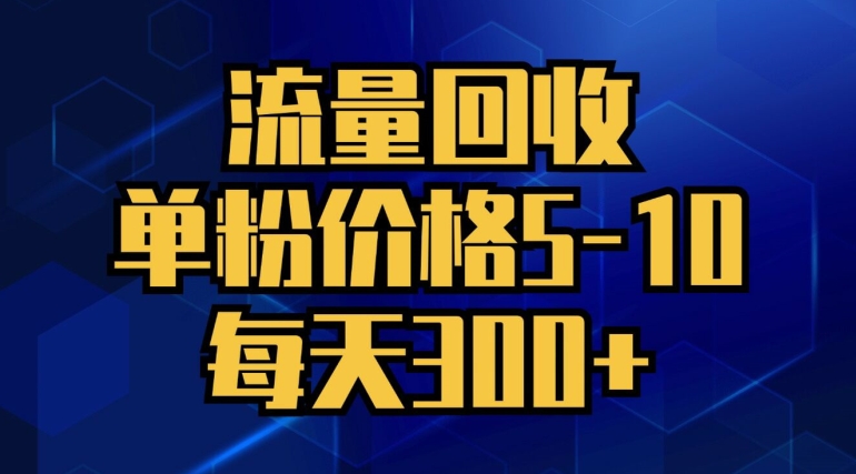 流量回收，单粉价格5-10，每天300+，轻松月入五位数-观智斋电商课程站