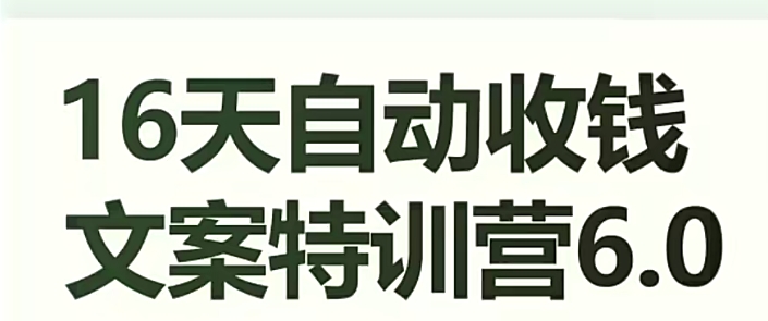 16天自动收钱文案特训营6.0，学会儿每天自动咔咔收钱-观智斋电商课程站