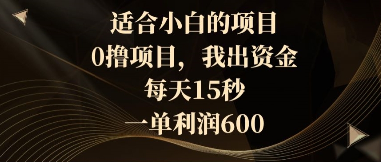 适合小白的项目，0撸项目，我出资金，每天15秒，一单利润600-观智斋电商课程站