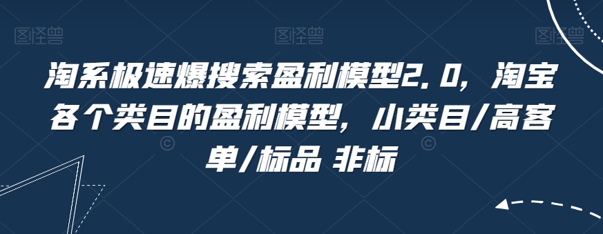 淘系极速爆搜索盈利模型2.0，淘宝各个类目的盈利模型，小类目/高客单/标品 非标-观智斋电商课程站