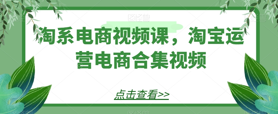 淘系电商视频课，淘宝运营电商合集视频-观智斋电商课程站