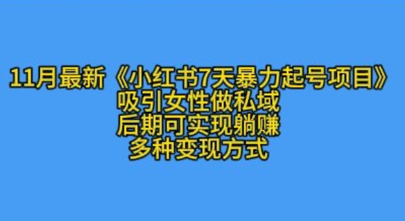 K总部落11月最新小红书7天暴力起号项目，吸引女性做私域【揭秘】-观智斋电商课程站