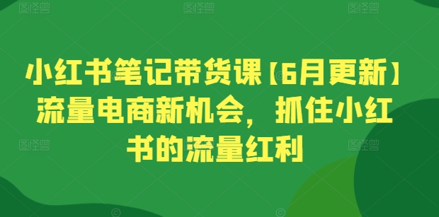 小红书笔记带货课【6月更新】流量电商新机会，抓住小红书的流量红利-观智斋电商课程站