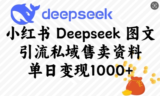 小红书Deepseek图文引流私域售卖资料，单日变现多张-观智斋电商课程站