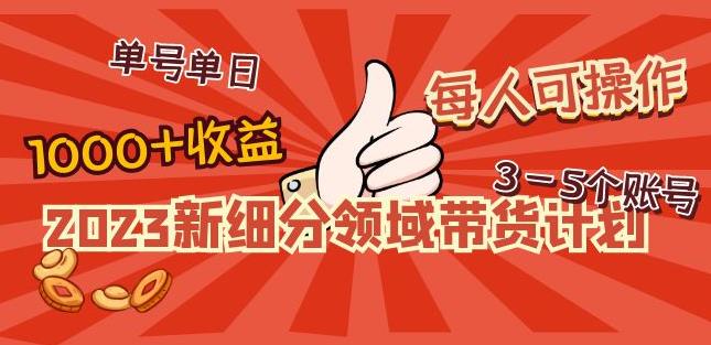 2023新细分领域带货计划：单号单日1000+收益不难，每人可操作3-5个账号-观智斋电商课程站
