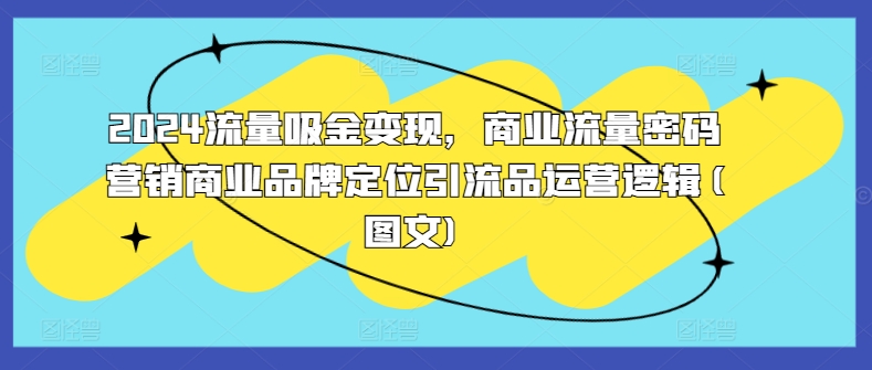 2024流量吸金变现，商业流量密码营销商业品牌定位引流品运营逻辑(图文)-观智斋电商课程站