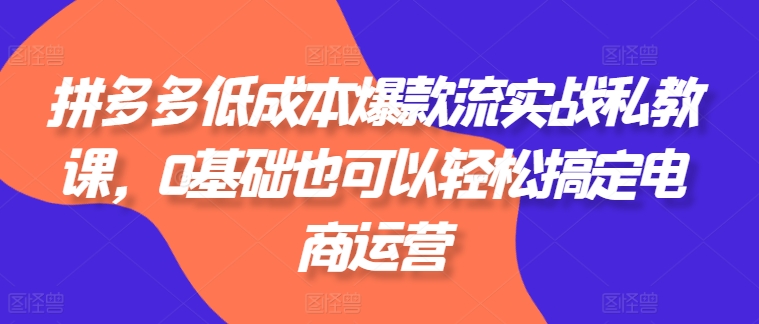 拼多多低成本爆款流实战私教课，0基础也可以轻松搞定电商运营-观智斋电商课程站