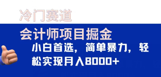 冷门赛道，会计师项目掘金，小白首选，简单暴力，轻松实现月入8000+-观智斋电商课程站