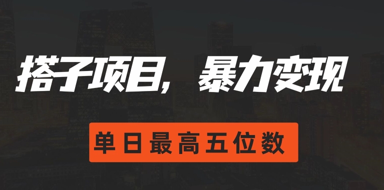 搭子项目，暴力变现，单日最高破五位数-观智斋电商课程站