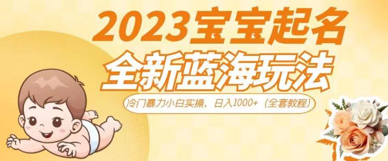 2023宝宝起名全新蓝海玩法，冷门暴力小白实操，日入1000+（全套教程）【揭秘】-观智斋电商课程站