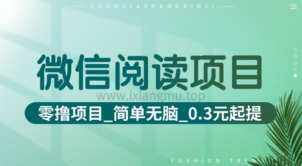 微信阅读项目_零撸项目+简单无脑+0.3元起提(六大平台合集汇总)-观智斋电商课程站