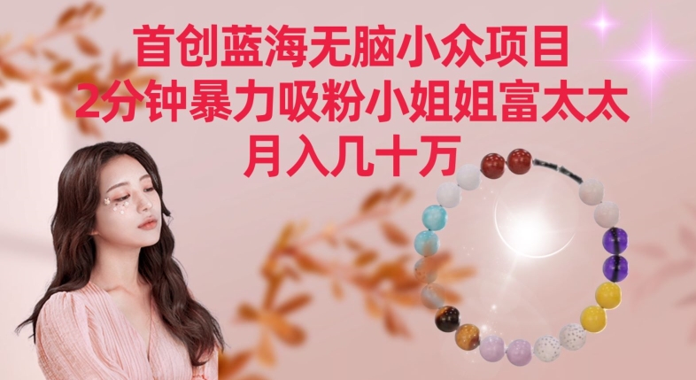 首创蓝海无脑小众项目，2分钟暴力吸粉小姐姐富太太，月入几十万【揭秘】-观智斋电商课程站
