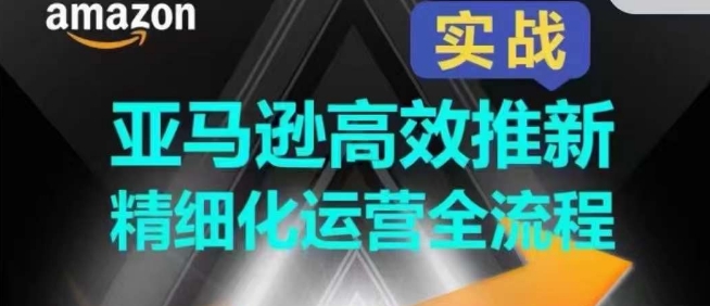 亚马逊高效推新精细化运营全流程，全方位、快速拉升产品排名和销量!-观智斋电商课程站