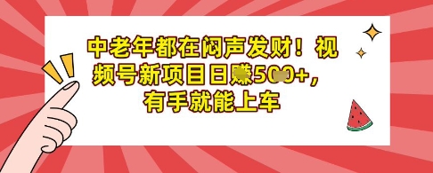 中老年都在闷声发财，视频号新项目日入多张，有手就能上车-观智斋电商课程站