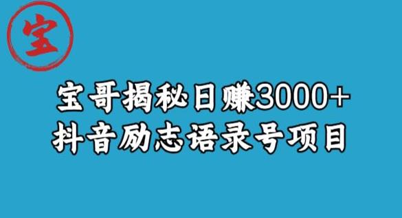宝哥揭秘日赚3000+抖音励志语录号短视频变现项目-观智斋电商课程站