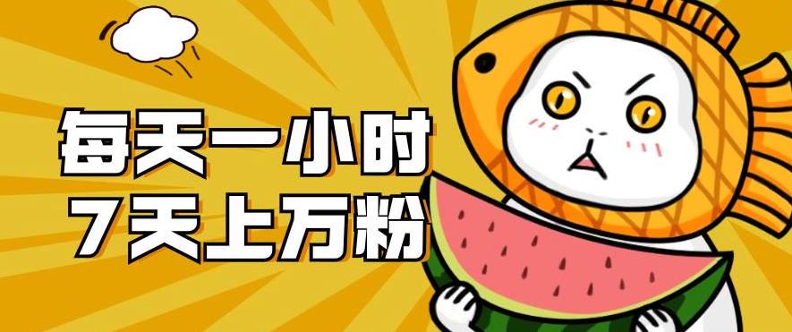 暴力涨粉项目：每天一小时，七天上万粉【揭秘】-观智斋电商课程站