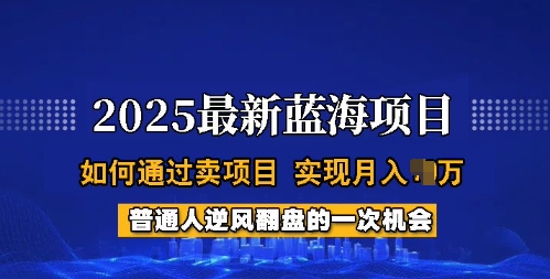 2025蓝海项目，普通人如何通过卖项目，实现月入过W，全过程【揭秘】-观智斋电商课程站