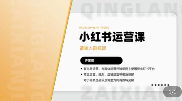 许筐筺·小红书运营课，​笔记运营、规则、店铺运营等模块讲解，学会自己独立运营小红书账号-观智斋电商课程站