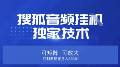 【搜狐音频挂G】独家技术，可矩阵可放大，红利期稳定月入8k【揭秘】-观智斋电商课程站