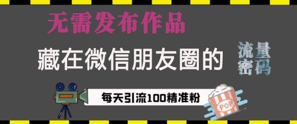 藏在微信朋友圈的流量密码，无需发布作品，单日引流100+精准创业粉【揭秘】-观智斋电商课程站