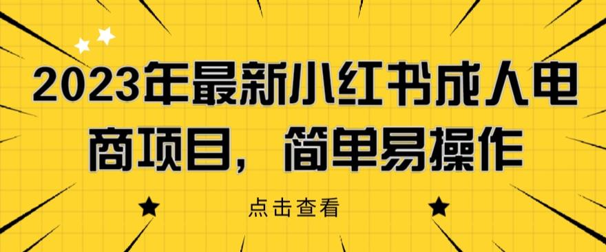 2023年最新小红书成人电商项目，简单易操作【详细教程】【揭秘】-观智斋电商课程站