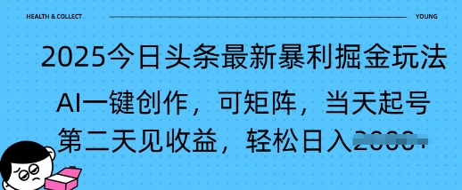 2025今日头条最新暴利掘金玩法，AI一键创作，可矩阵，当天起号，第二天见收益轻松日入多张-观智斋电商课程站