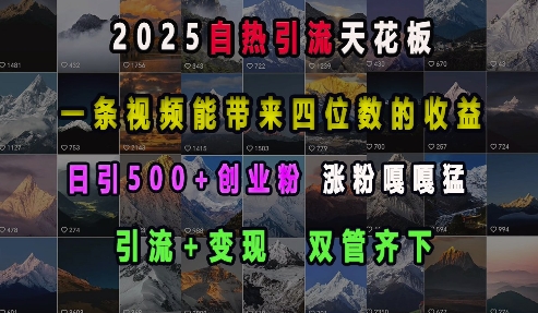 2025自热引流天花板，一条视频能带来四位数的收益，引流+变现双管齐下，日引500+创业粉，涨粉嘎嘎猛-观智斋电商课程站