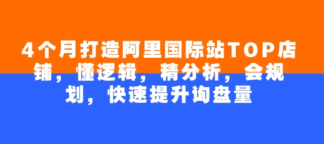 4个月打造阿里国际站TOP店铺，懂逻辑，精分析，会规划，快速提升询盘量-观智斋电商课程站
