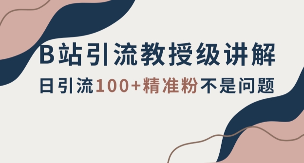 B站引流教授级讲解，细节满满，日引流100+精准粉不是问题【揭秘】-观智斋电商课程站