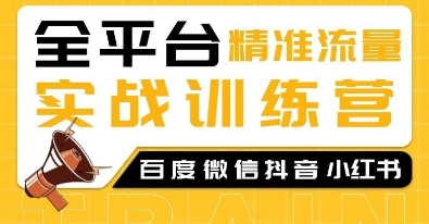 全平台精准流量实战训练营，百度微信抖音小红书SEO引流教程-观智斋电商课程站