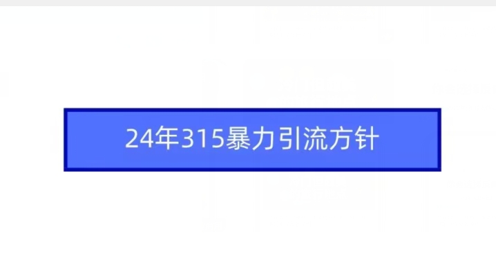24年315暴力引流方针-观智斋电商课程站