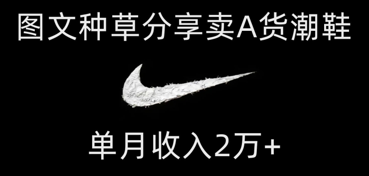 靠图文种草分享卖A货潮鞋，每天一小时，单月收入2万+【揭秘】-观智斋电商课程站